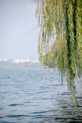 D317B49C-5C6F-4397-A689-960CE6DADAFB/L0/001