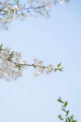 EF78B7BA-AA26-48CD-8372-8427FF860232/L0/001