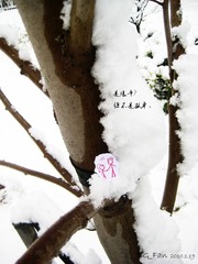 snow6