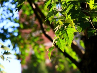 IMG_8983 (1).jpg
