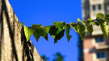 IMG_8999.jpg