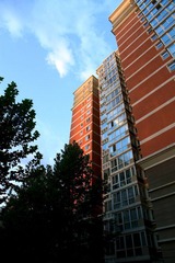 IMG_8763.jpg