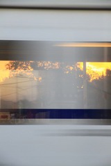 IMG_8765.jpg
