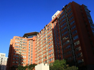 IMG_8991.jpg