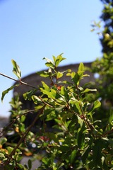 IMG_6211.jpg