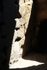 IMG_6266.jpg