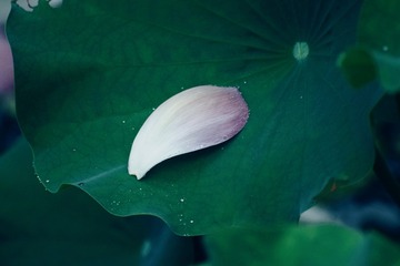 1000035670