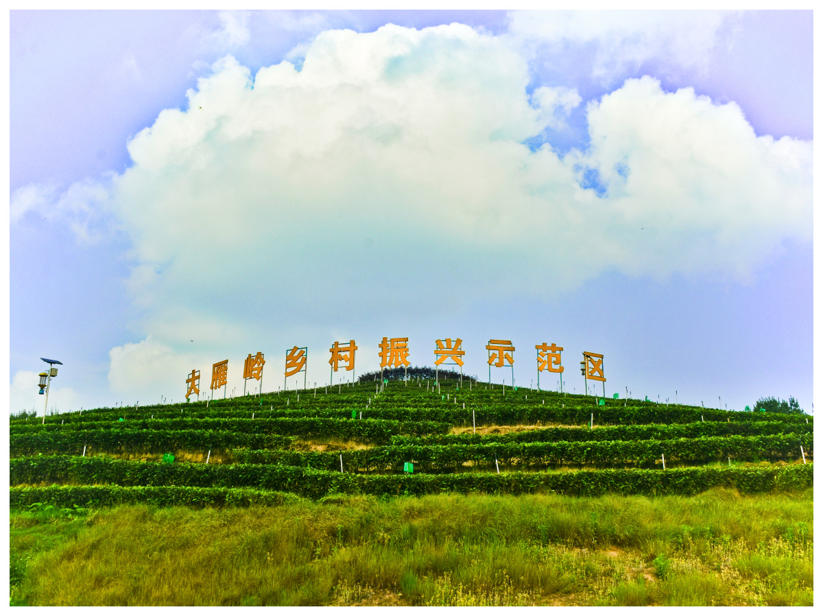 宜宾大雁岭乡村振兴示范