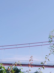 7F08E305-F7BC-48A3-B19F-2E88647CA8D7/L0/001