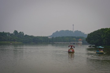 IMGP0915.jpg