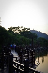 IMGP2139.jpg