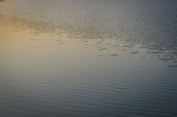 IMGP2157.jpg
