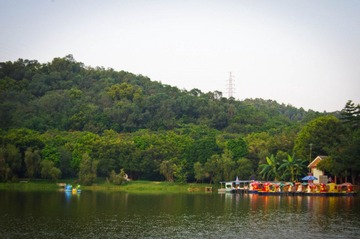 IMGP2161.jpg