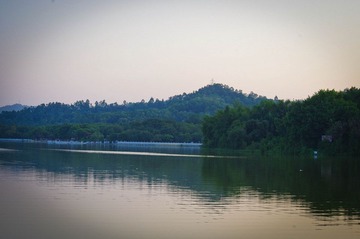IMGP2168.jpg