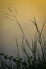 IMGP2183.jpg