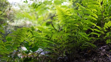 “DSC00199”为智能对象-1.jpg