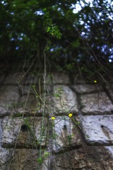 “DSC00215”为智能对象-1.jpg