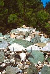 Scan-120415-0022.jpg