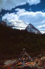 Scan-120415-0025.jpg