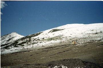 Scan-120415-0032.jpg