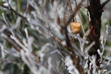 IMG_9833.JPG