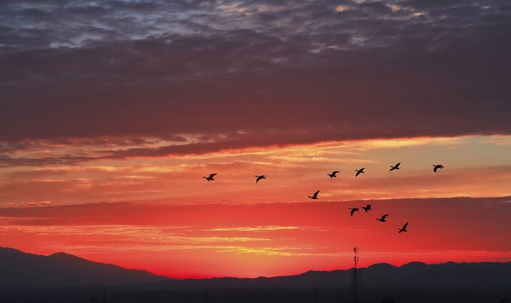 夕阳余晖<br />
