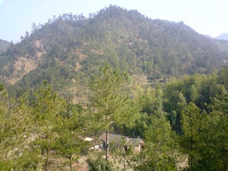 DSC00506.JPG