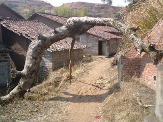 DSC00529.JPG
