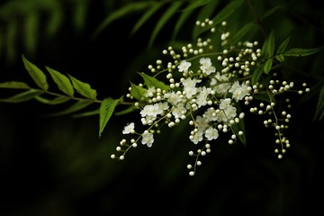 1536198
