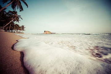 _MG_6025.jpg