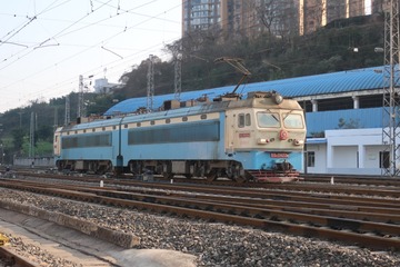 530439