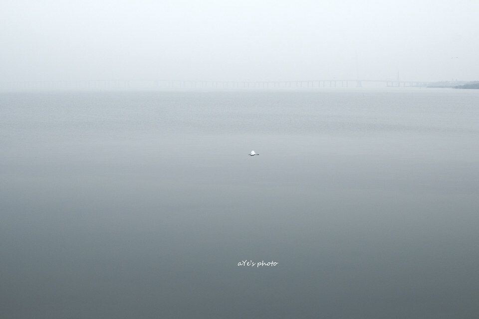 雾啊...白鹭啊...深圳湾啊...<br />
