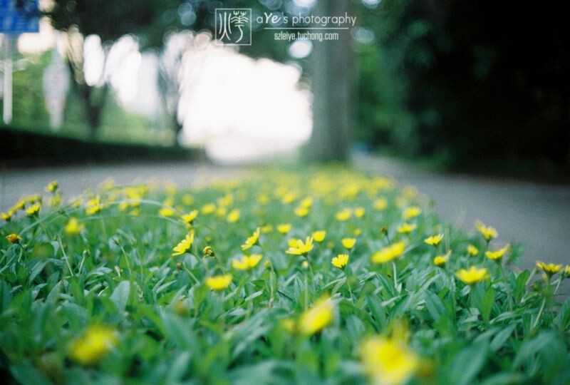 yeの20121104-000030-2<br />
