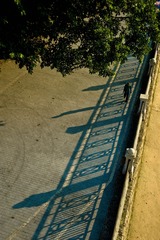 LXZ_6121.jpg
