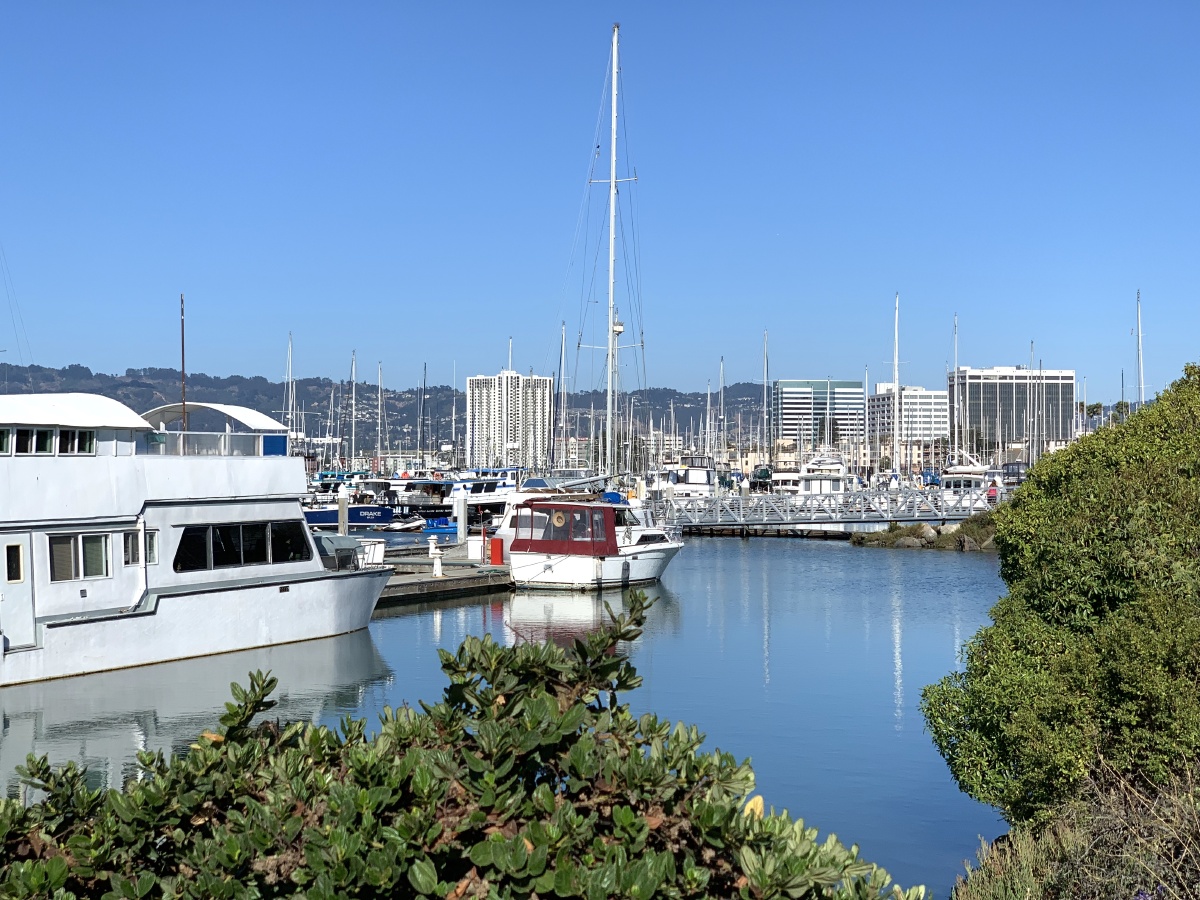 大海啊大海美国加州埃默里维尔海域及太平洋出口