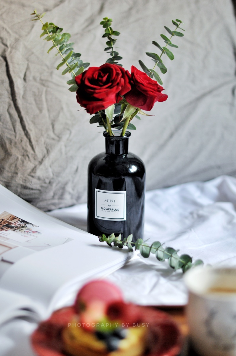 1/116我要上开屏_del_静物41713花卉早餐ins风红玫瑰还没有人打赏,快