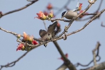 IMG_8382