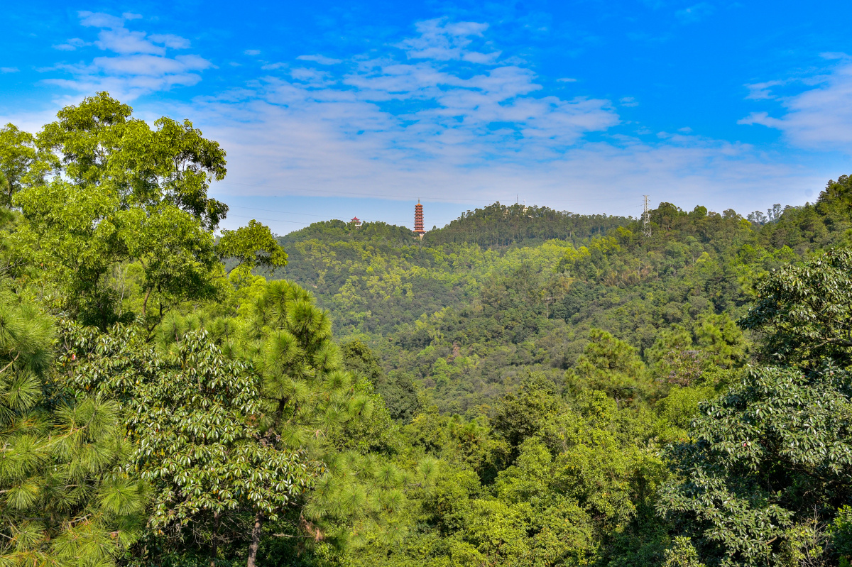 广东大雁山森林公园徒步二十公里