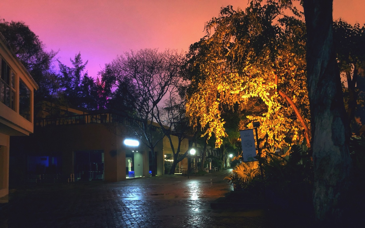 羊城的夜晚雨水湿了街灯