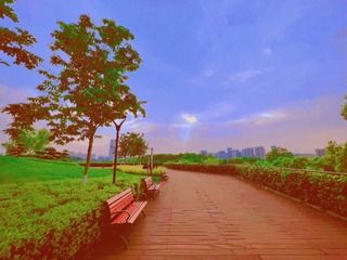 3A245344-6E60-4B2F-8875-741B39A25EA7/L0/001