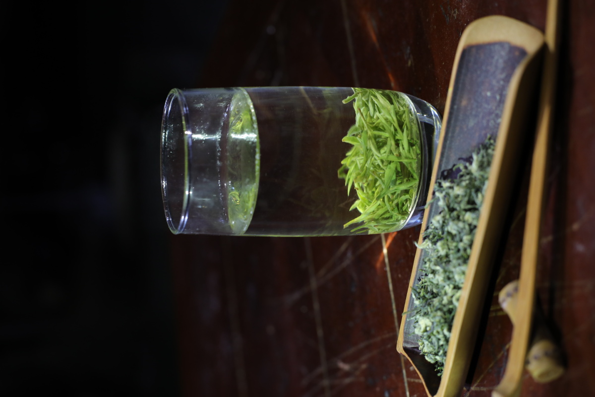 苏州东山的碧螺春茶叶季里忙里偷闲