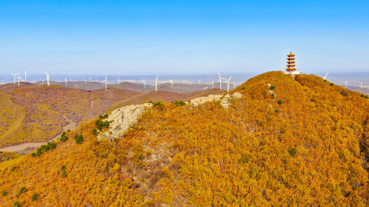 金秋十月蜂蜜山