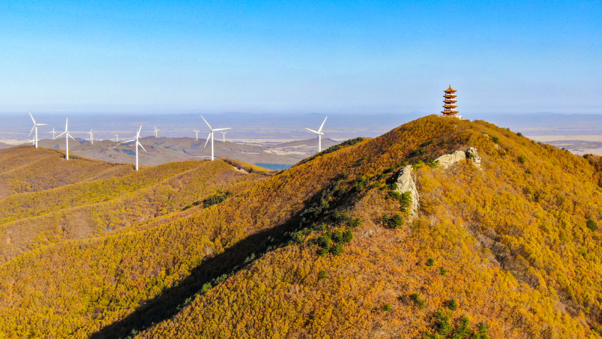 金秋十月蜂蜜山