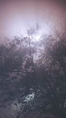 DF713B26-DCE4-40C3-BEA6-E34BA1BD23E2/L0/001