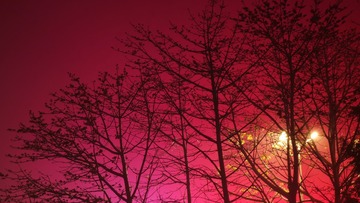 C99B6BFE-0D2F-4D5E-8392-7A49C1102F75/L0/001