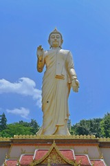 1000043615