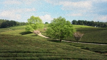 3F0341D9-AAA1-47AA-90A5-6C862E0C52B5/L0/001