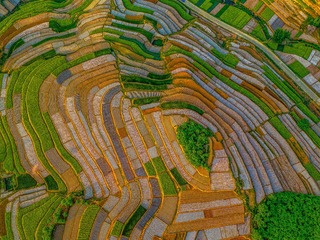 版图-陈明