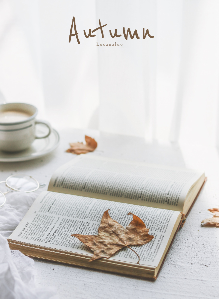 秋日阳光午后一本书一杯拿铁一桌透过纱帘跑上桌的阳光慵慵懒懒好不