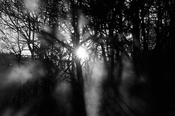 766A0290-20DB-438E-A824-6163F90A1F0C/L0/001